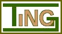 TING Inc.